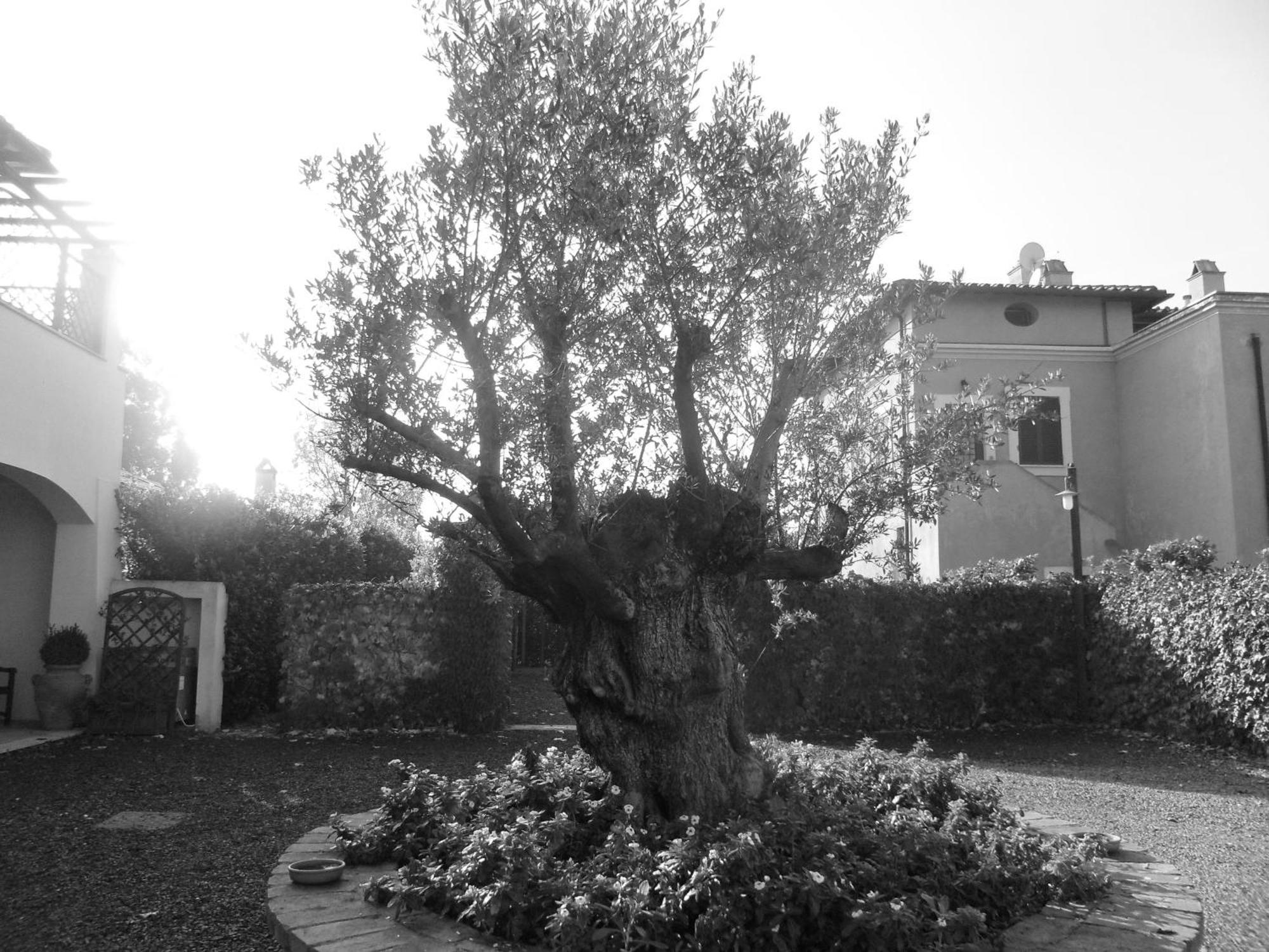 Casale Di Tormaggiore Villa And Country Suites 포메지아 외부 사진